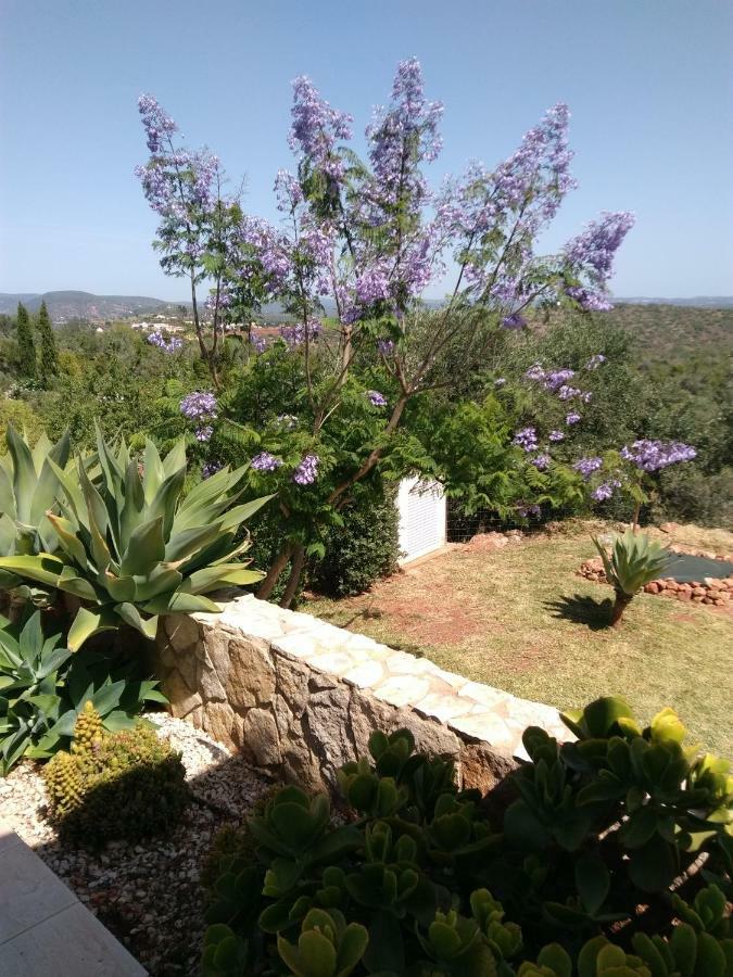 הוילה סילבס Casa Do Monte מראה חיצוני תמונה